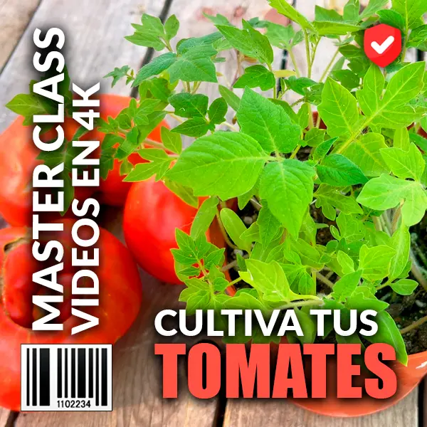 curso premium cultivo del tomate