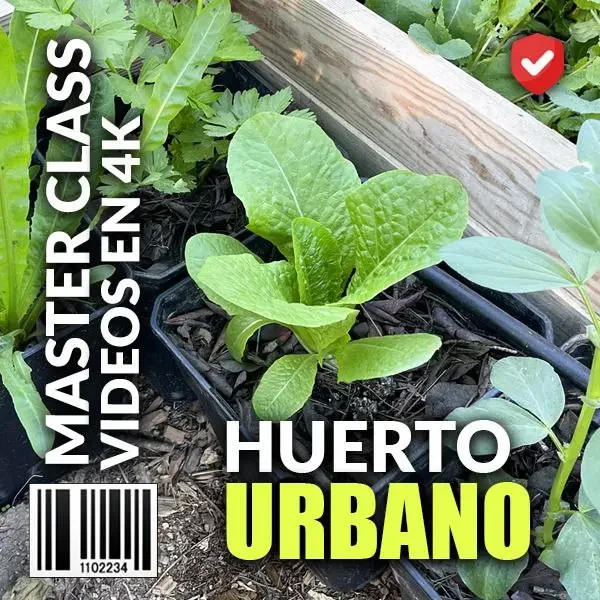 curso huerto urbano en macetas